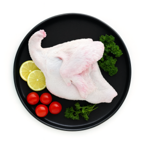 سینه بوقلمون آندیب گوشت سفید