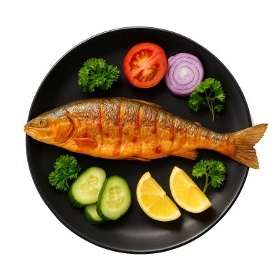 ماهی قزل کبابی آندیب گوشت فرآوری شده کباب