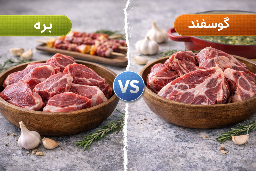 فرق گوشت بره و گوسفند چیست؟ گوشت قرمز گوشت گوسفندی آندیب